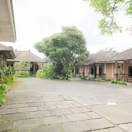 Pelangi Homestay Bedugul Redpartner المظهر الخارجي الصورة