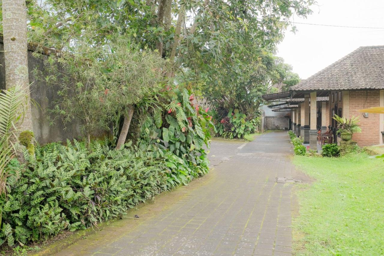 Pelangi Homestay Bedugul Redpartner المظهر الخارجي الصورة